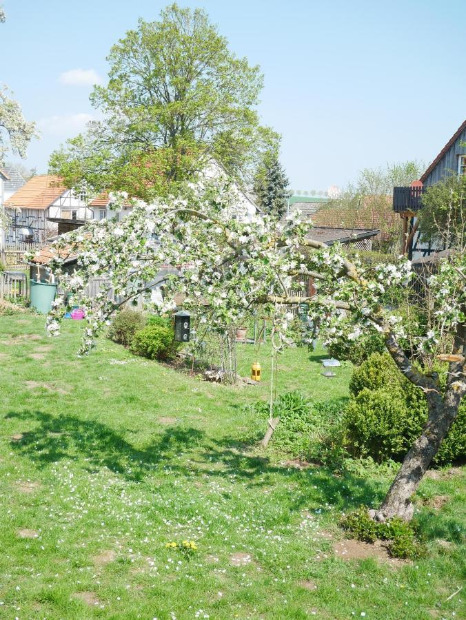 Tiny Ferienhaus Kelze Hofgeismar Exterior foto